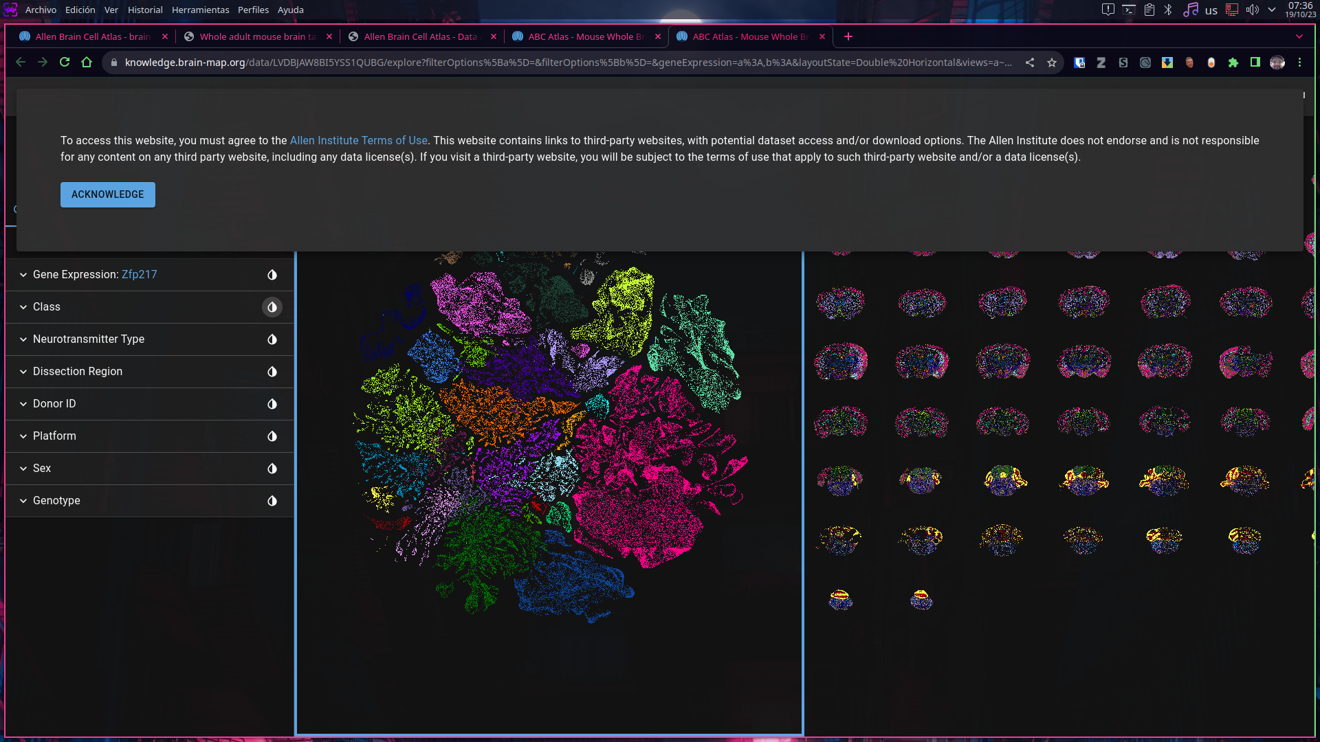abca_mouseAltasFirstTime
